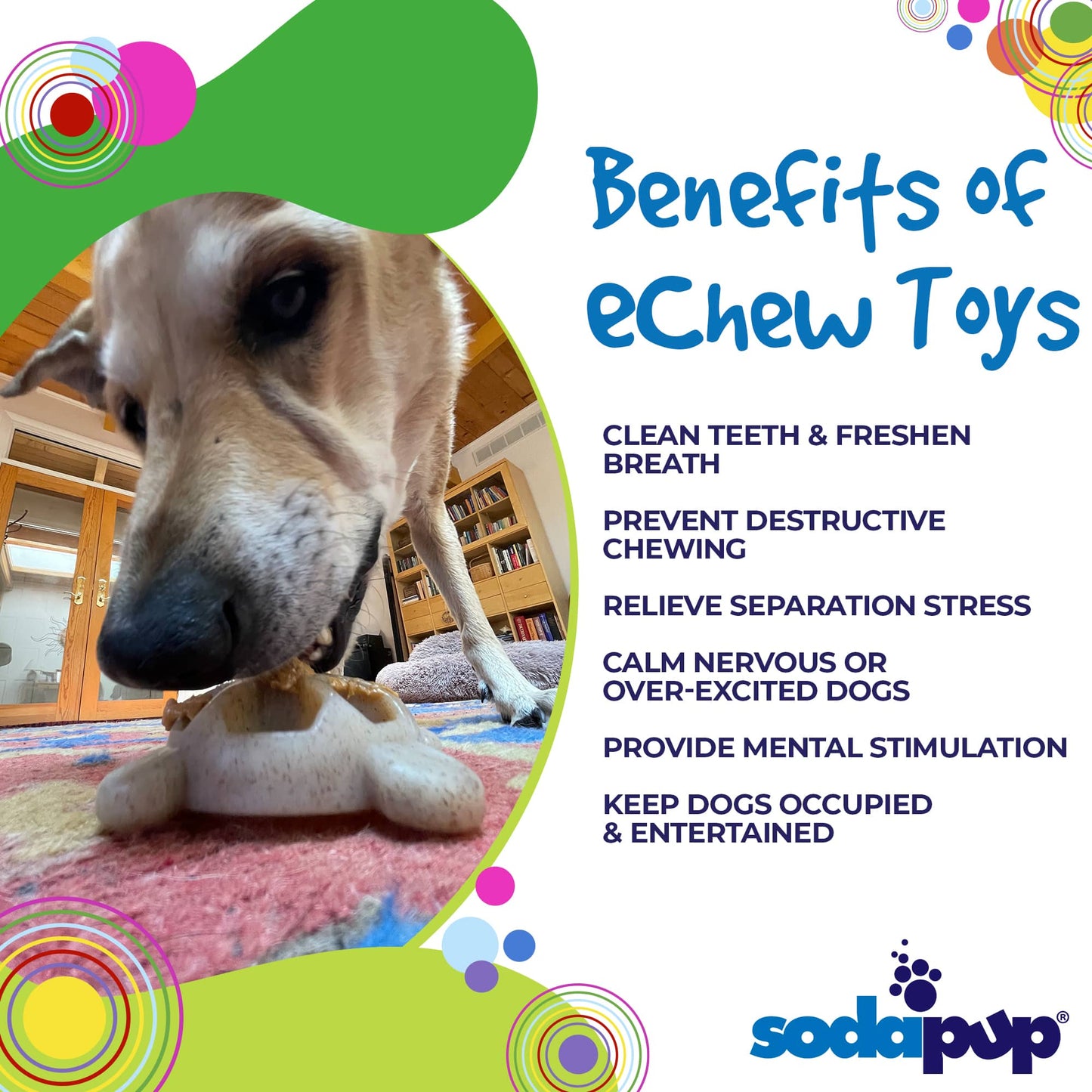 Turtle Durable Nylon Chew and Enrichment Toy