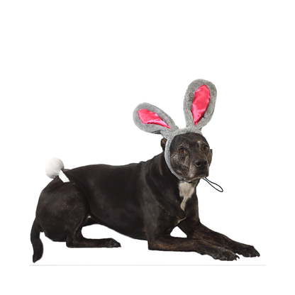 Midlee Easter Bunny Rabbit Ears with Tail