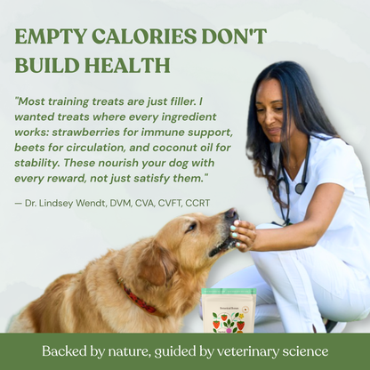 Love Bites - Organic Dog Treats, Strawberry & Peanut Butter