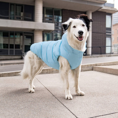 Waterproof Dog Puffer