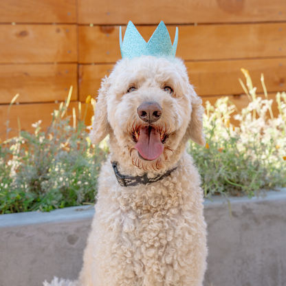 Party Crown Blue
