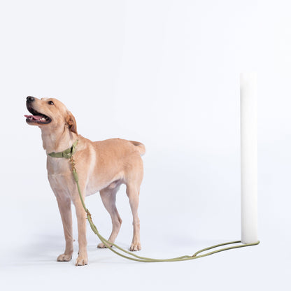 Awoo Infinity Leash