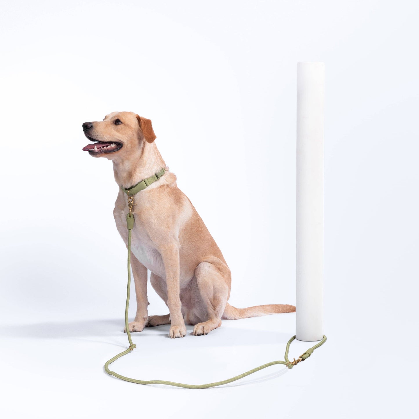 Awoo Infinity Leash