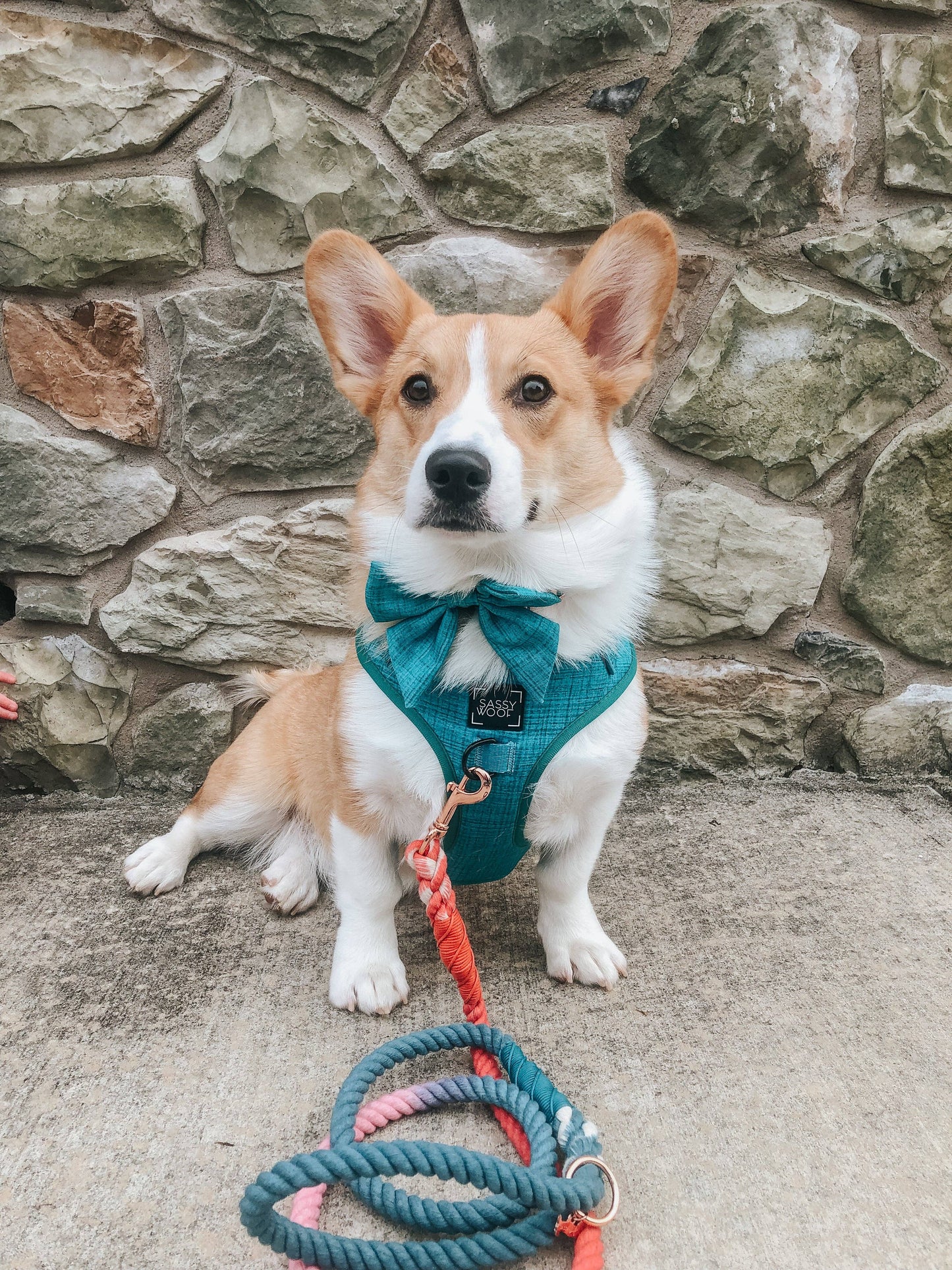 Dog Rope Leash - Jack & Jill