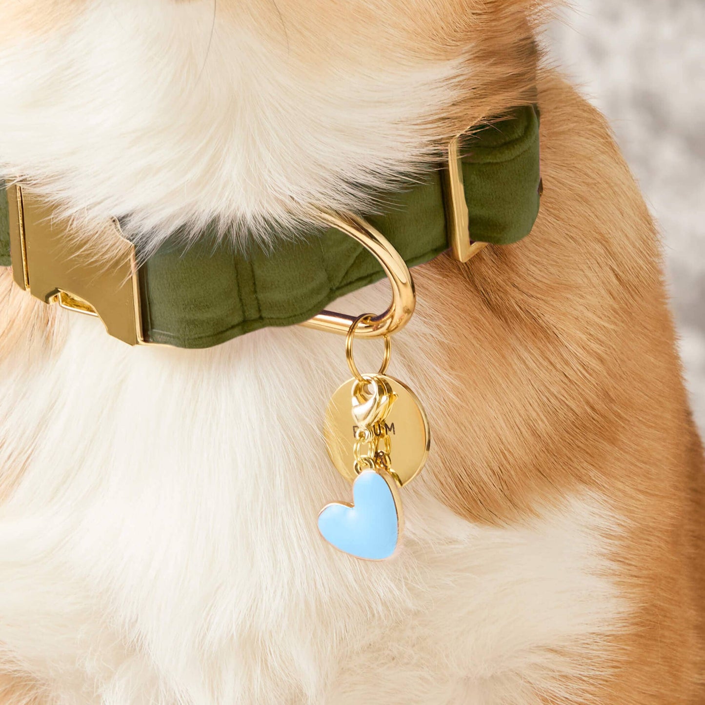 Blue Heart Collar Charm