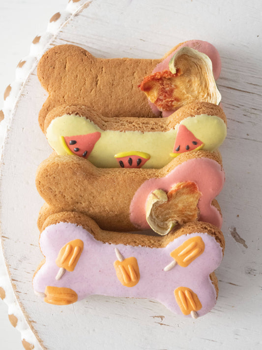 Fun in the Sun Bone Box for Dogs - Summer Dog Treats
