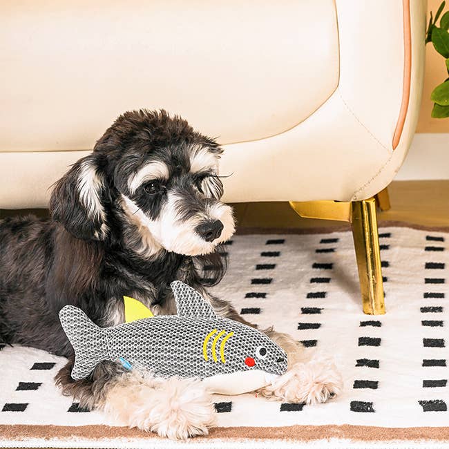 HugSmart Ocean Pals | Shark Toy