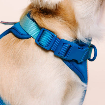 Atlas Dog Harness | Blue