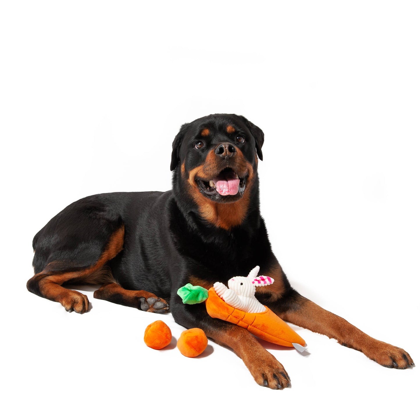 Hide a Toy Carrot with Balls & Rabbit Easter Dog Toy