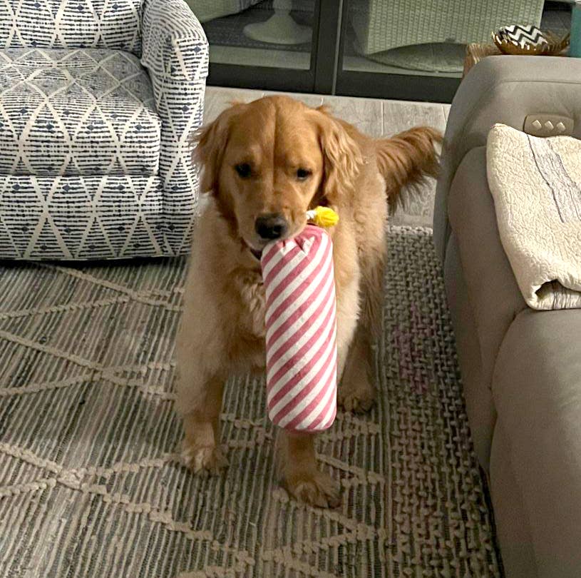 ThoozyPet Birthday Candle Pink w/ Rope 16"