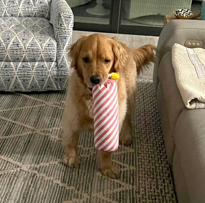 ThoozyPet Birthday Candle Pink w/ Rope 16"
