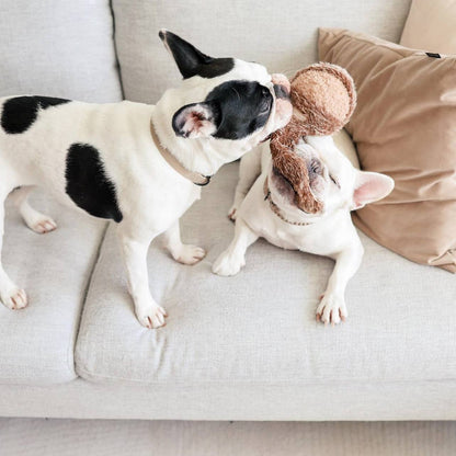 SQUIRREL POP DOG TOY