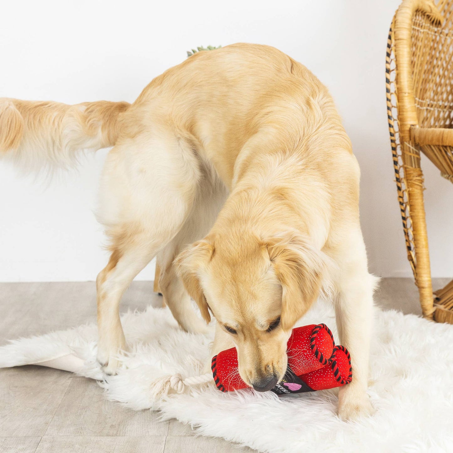 PetShop You're Dynamite Dog Toy