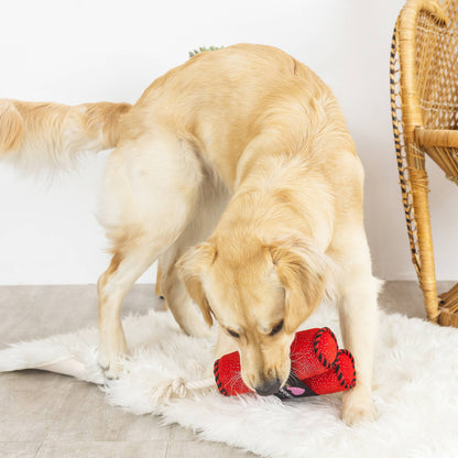 PetShop You're Dynamite Dog Toy