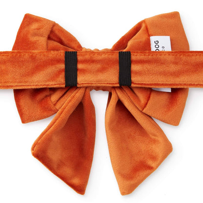 Pumpkin Velvet Lady Dog Bow