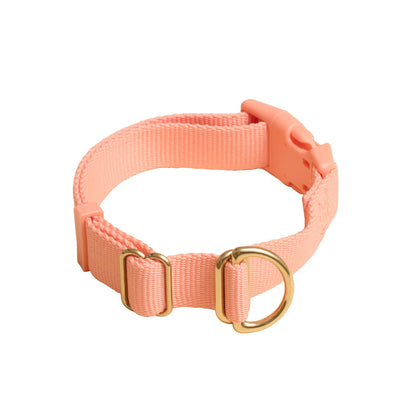Awoo Pack Collar