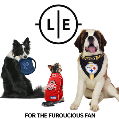 Packers Big Jersey