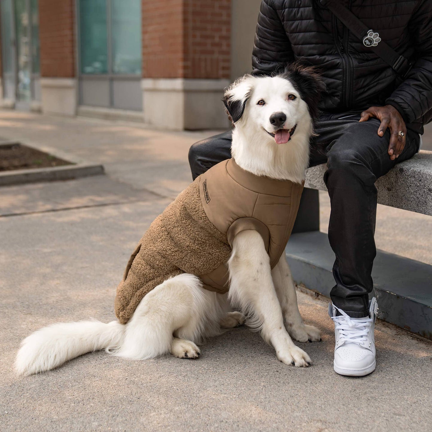 Cool Factor Puffer Jacket- Dog coat