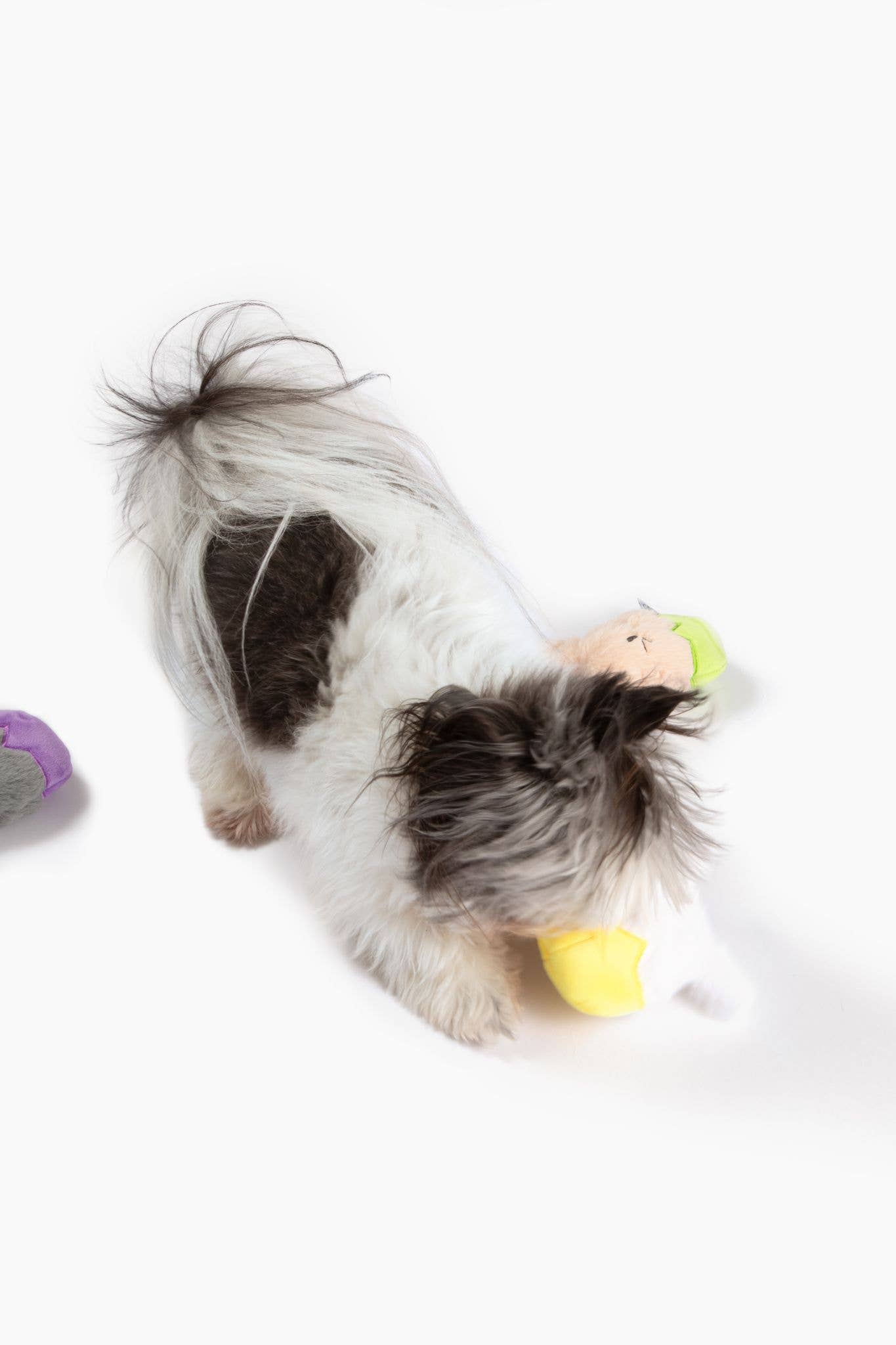 Midlee Easter Bunny Egg Toys