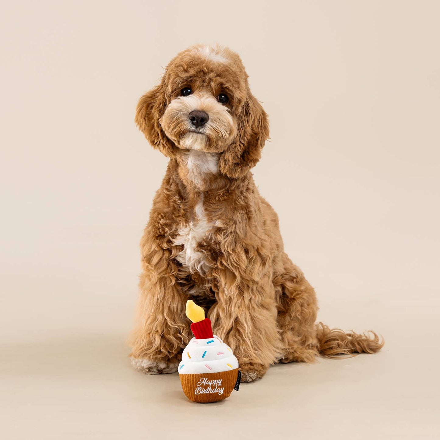 CHEWFFON Cupcake Dog Toy Interactive Squeaky Birthday Treat