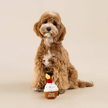 CHEWFFON Cupcake Dog Toy Interactive Squeaky Birthday Treat