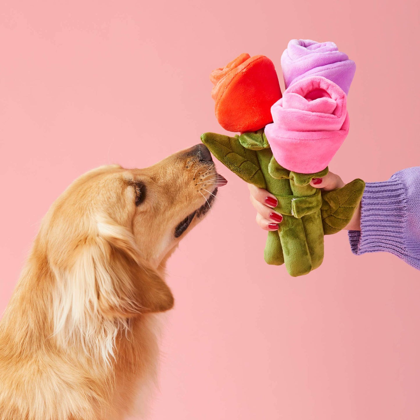 Bouquet of Roses Snuffle Dog Toy
