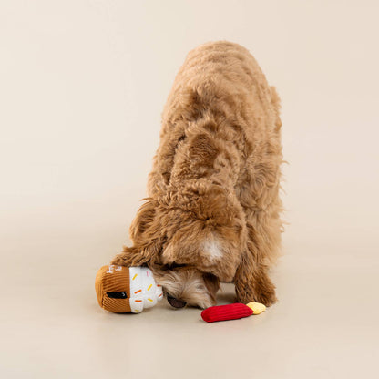 CHEWFFON Cupcake Dog Toy Interactive Squeaky Birthday Treat