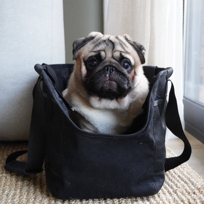 SUBWAY PET CARRIER