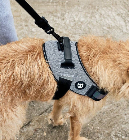 Urban | FlyHarness