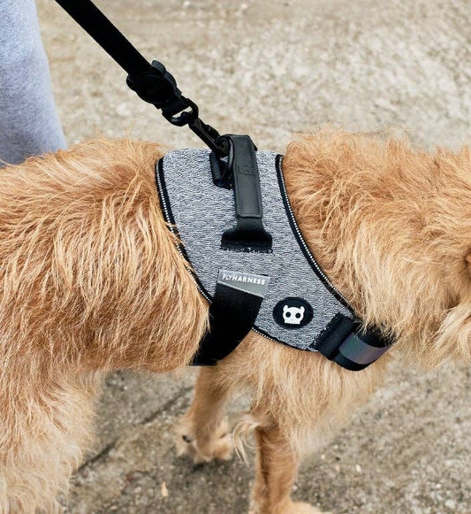 Urban | FlyHarness