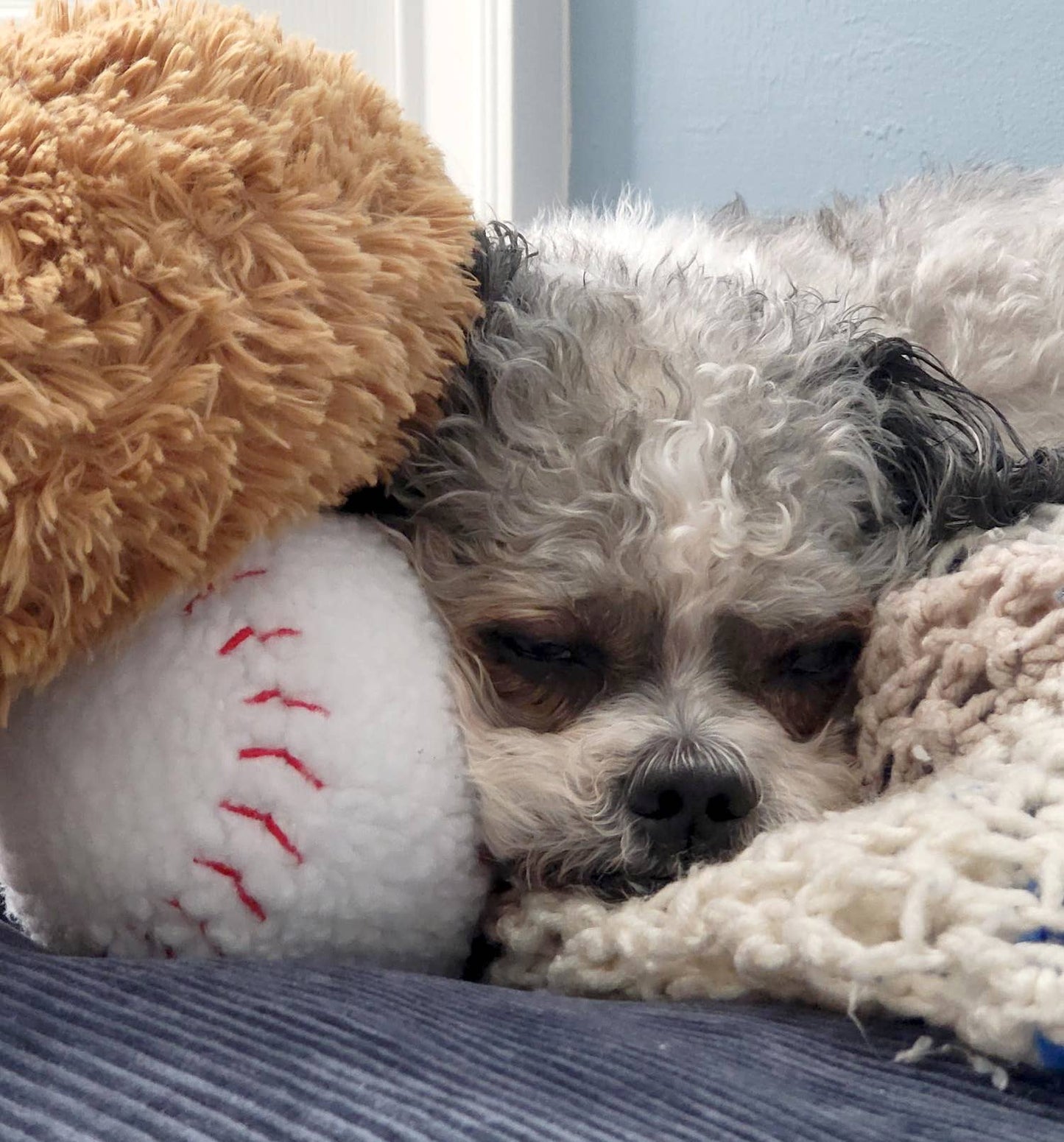 ThoozyPet Baseball Toy 4"