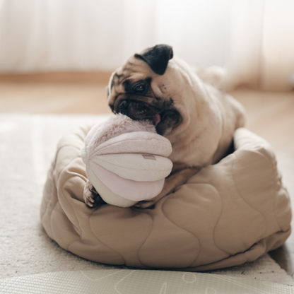 TOTO DOG TOY