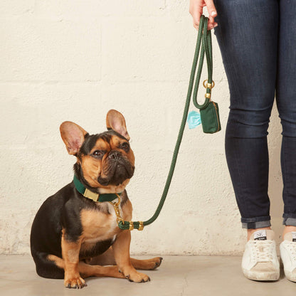 Foggy Dog Evergreen Marine Rope Dog Leash