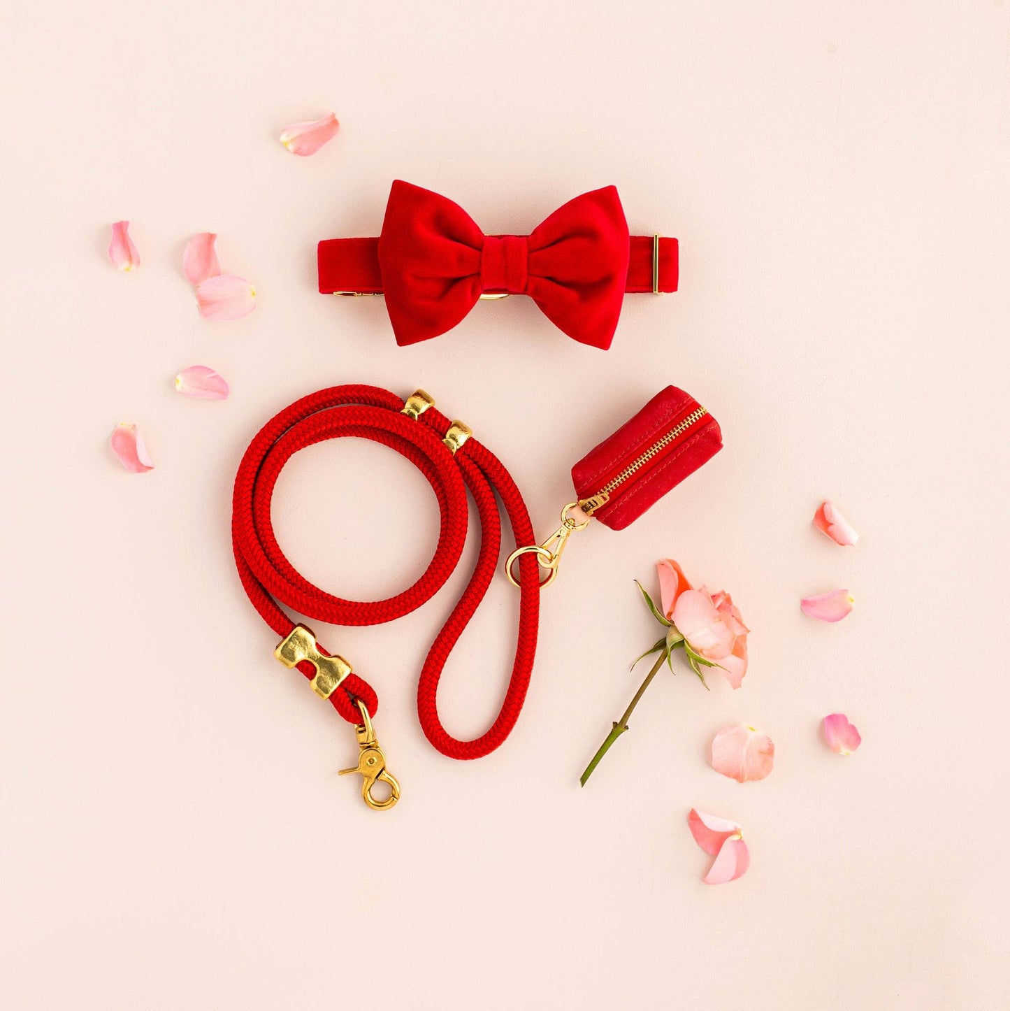 Foggy Dog Ruby Marine Rope Leash