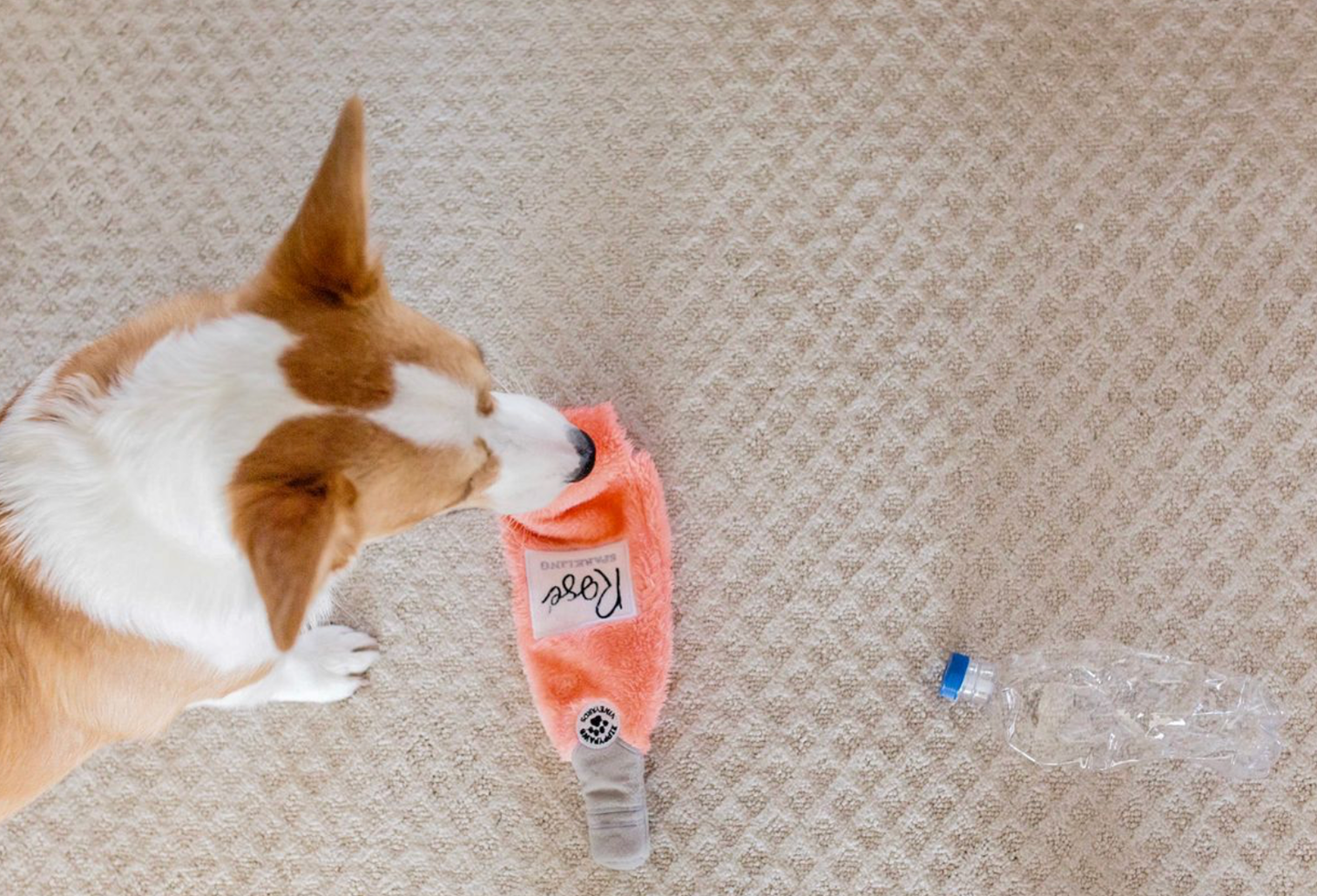 Happy Hour Crusherz - Rosé - Dog Toy