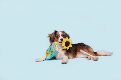 BARK Funflower Seeds Rope Toy