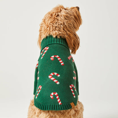 Foggy Dog Candy Canes Sweater
