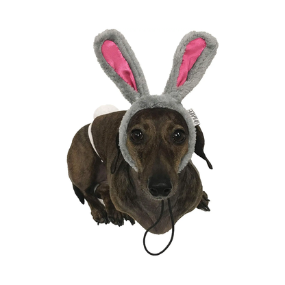 Midlee Easter Bunny Rabbit Ears with Tail
