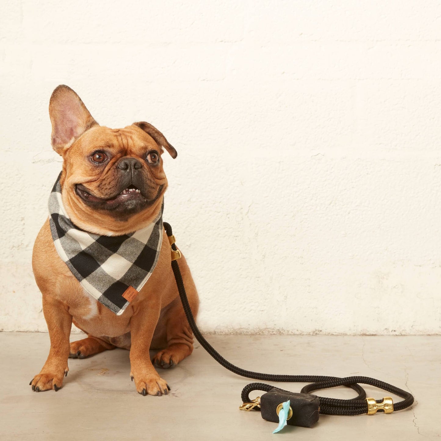 Foggy Dog Onyx Poop Bag Dispenser