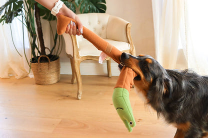 Snail Rollup Snuffle Toy