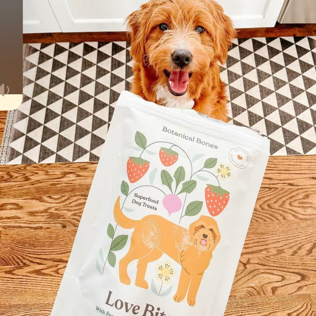 Love Bites - Organic Dog Treats, Strawberry & Peanut Butter