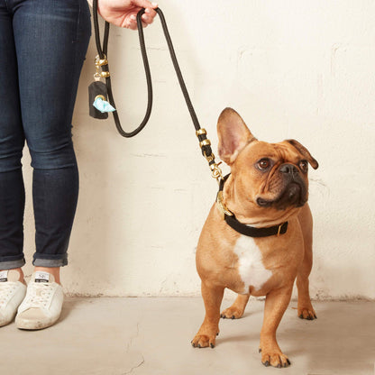 Onyx Rope Leash
