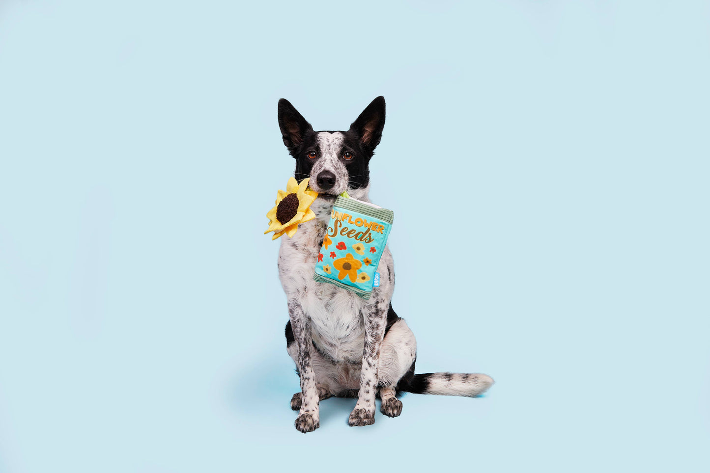 BARK Funflower Seeds Rope Toy