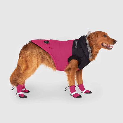 True North Dog Parka