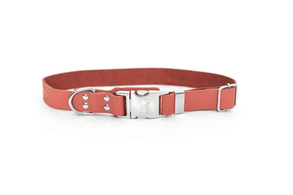 Modern Style Soft Leather Quick-Release Euro-Dog Collar