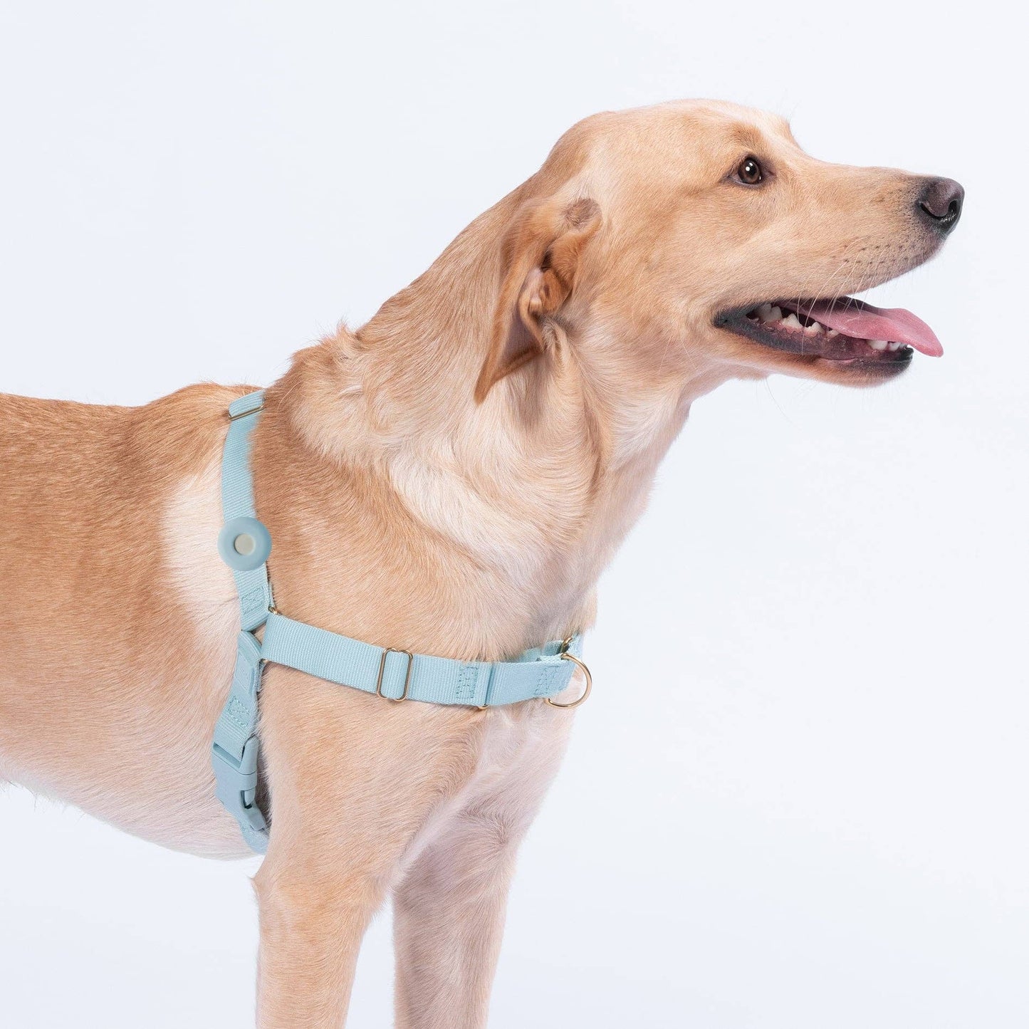 Awoo Fetch! AirTag Holder