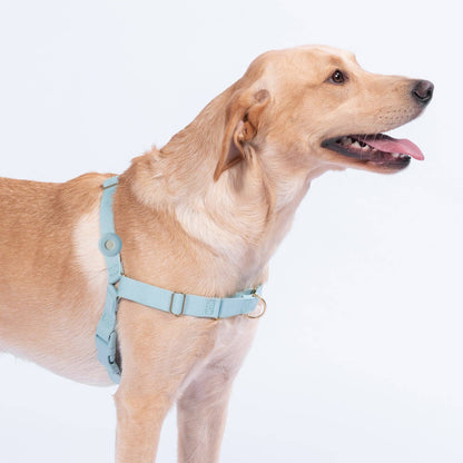 Awoo Fetch! AirTag Holder