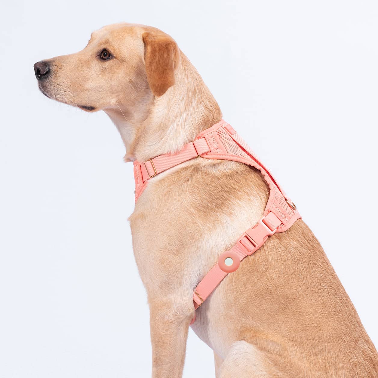 Awoo Fetch! AirTag Holder