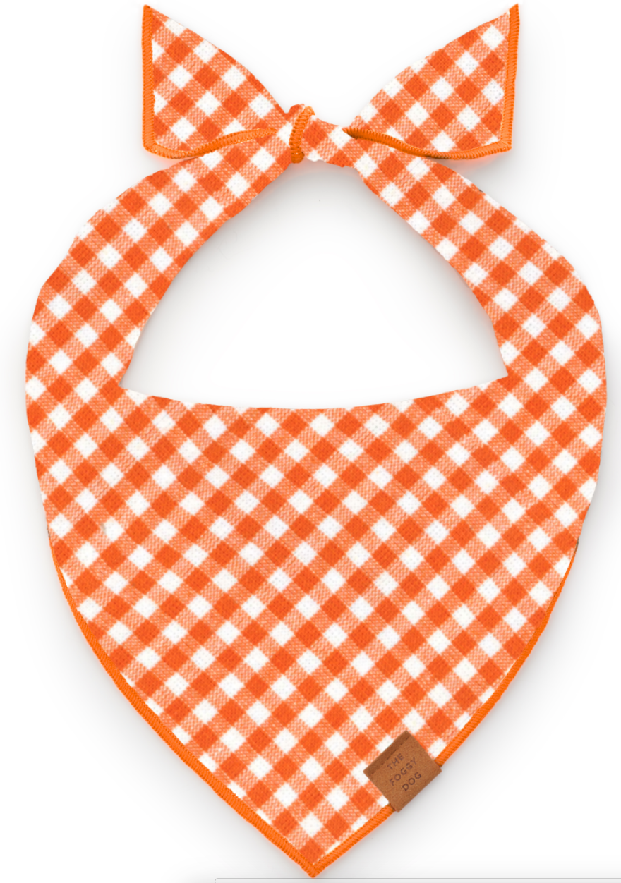 Cider Gingham Dog Bandana