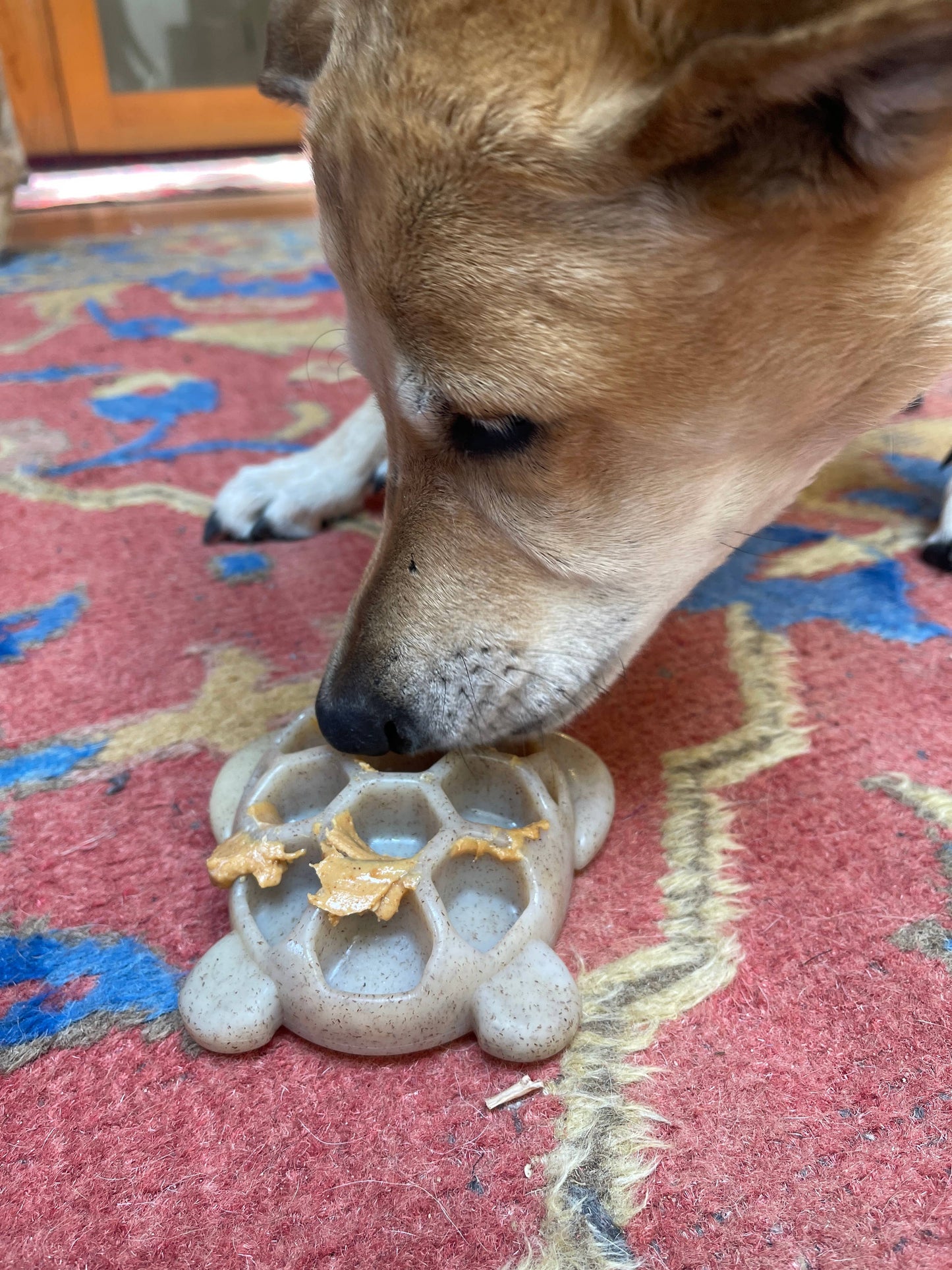 Turtle Durable Nylon Chew and Enrichment Toy